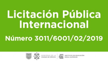 Licitación Pública Internacional Número: 3011/6001/02/2019
