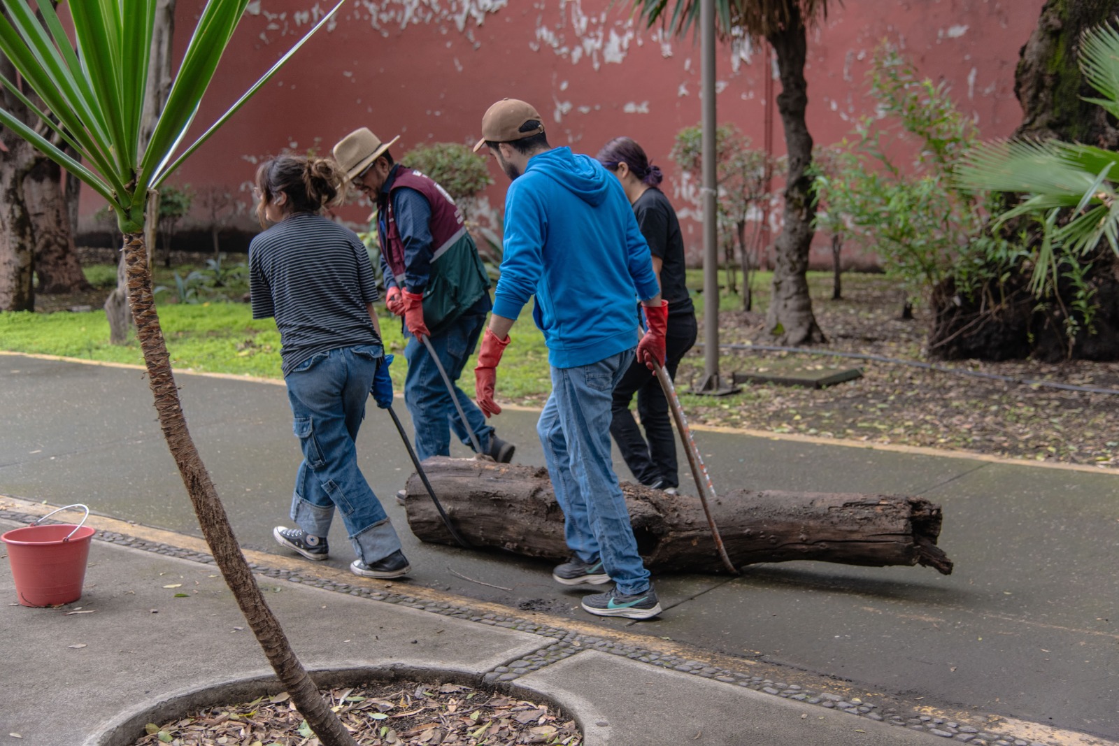 WhatsApp Image 2025-06-16 at 10.33.38 AM (16).jpeg