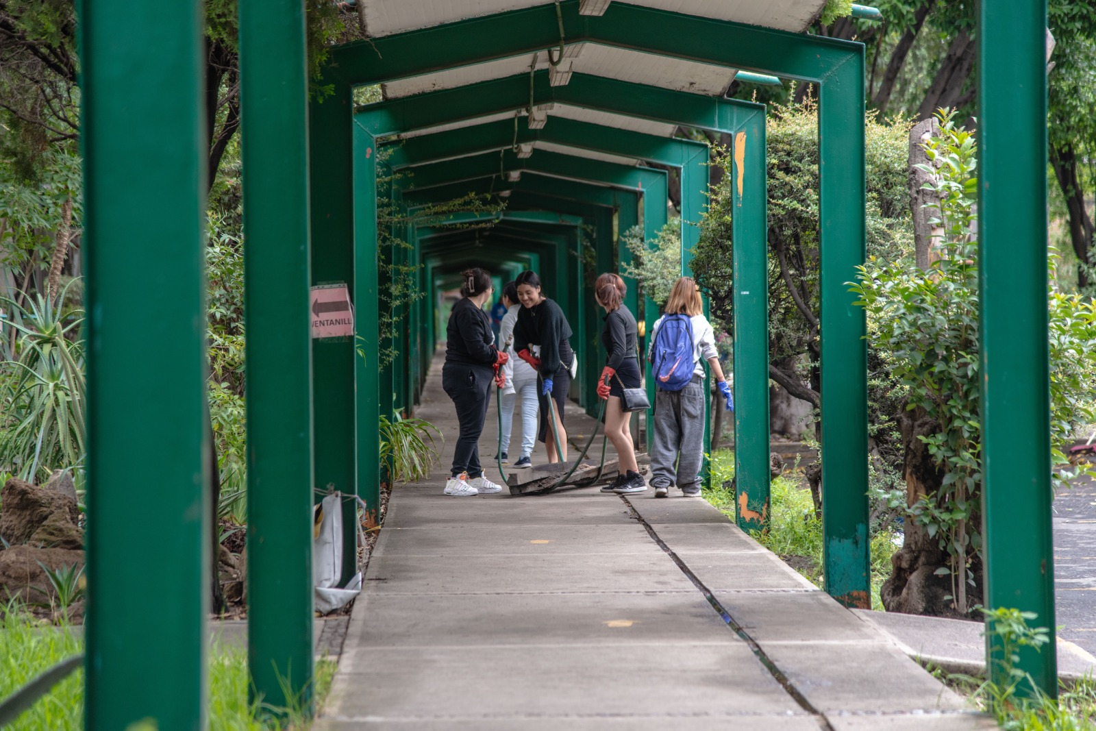 WhatsApp Image 2025-06-16 at 10.33.38 AM (17).jpeg