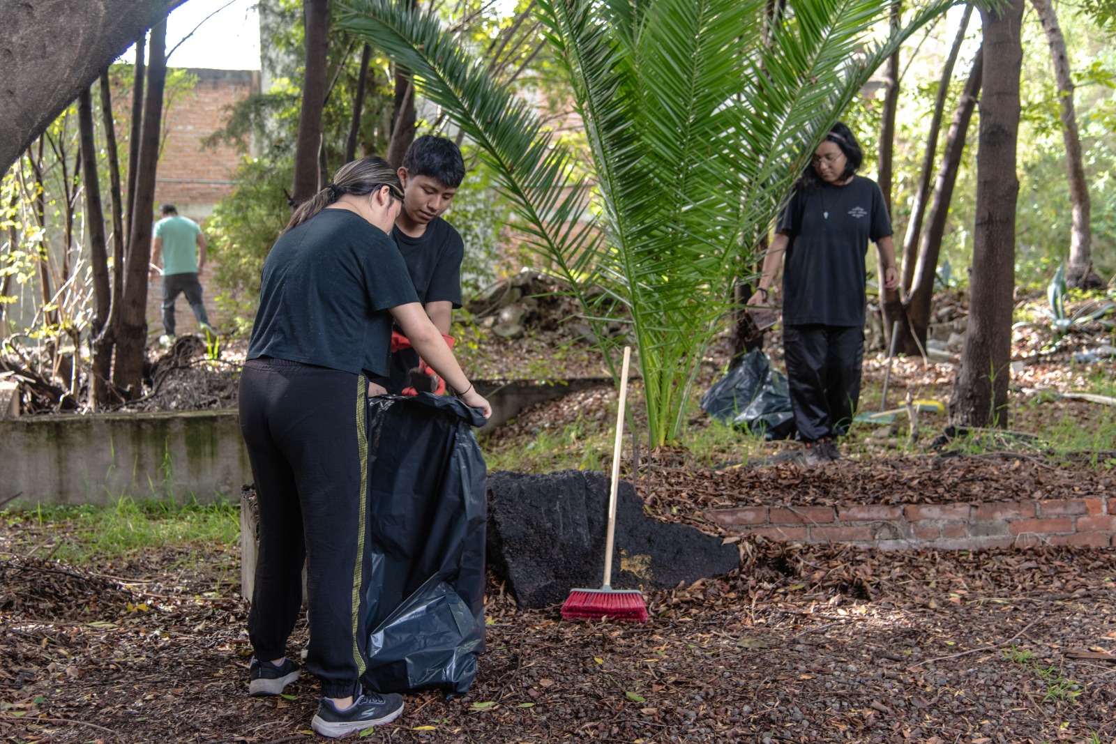 WhatsApp Image 2025-06-16 at 10.33.38 AM (4).jpeg