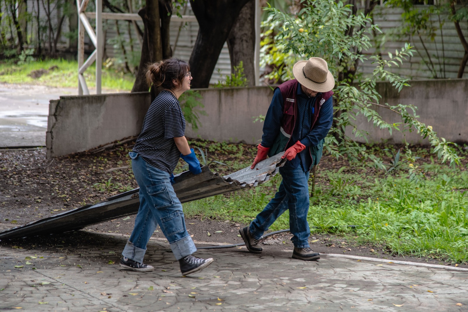 WhatsApp Image 2025-06-16 at 10.33.38 AM.jpeg