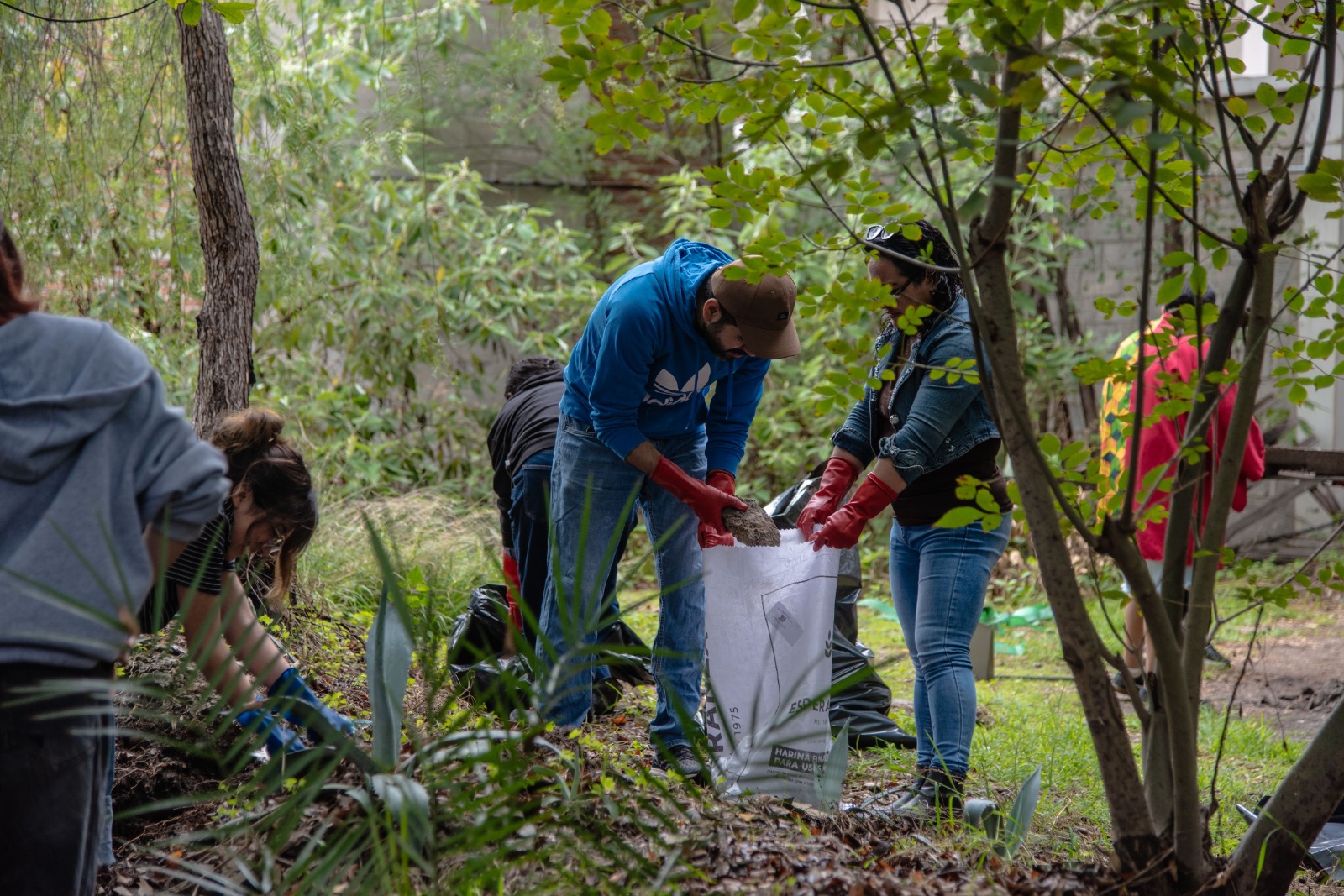 WhatsApp Image 2025-06-16 at 10.33.38 AM (10).jpeg