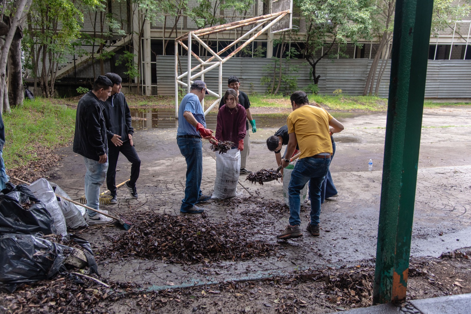 WhatsApp Image 2025-06-16 at 10.33.38 AM (14).jpeg