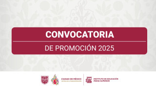 Convocatoria de Promoción 2025