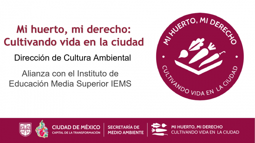 “Mi Huerto, Mi Derecho”