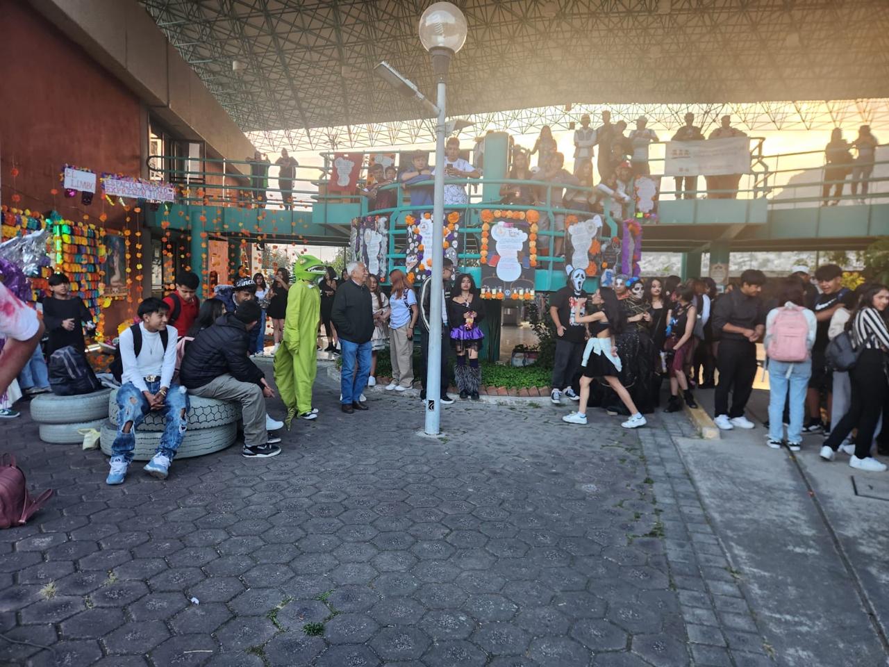 WhatsApp Image 2025-11-04 at 1.18.47 PM (5).jpeg