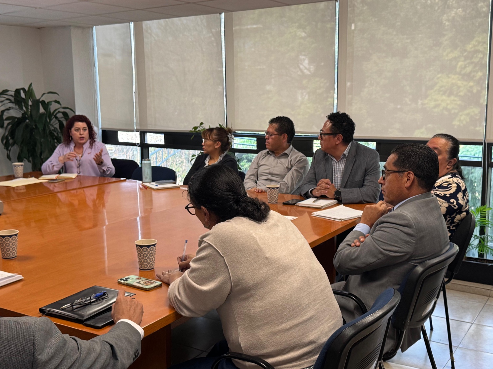 WhatsApp Image 2025-12-08 at 3.17.09 PM (2).jpeg