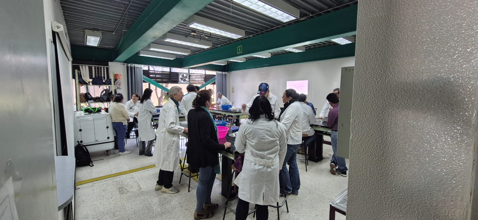 Quimica (jueves 12).jpeg